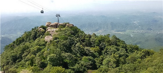 2022-07-09网站与公众号上要用的 (7)